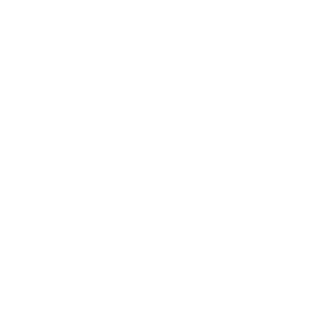 Logotyp Szpitala Specjalistycznego Nr 2 w Bytomiu - biały